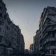Image for article titled The Winning Images From National Geographic's 2014 Photo Contest
